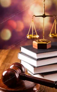 تنظیم متون استدلالی ونامه های دفاعی رسمی
