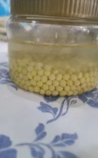 خاویار حلزون