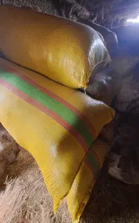 خوراک‌دام‌گاه