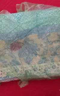 تشک ناو بیشکه
