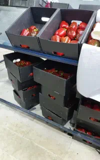 نیروی کار ماهر