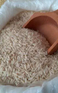 برنج و انواع برنج