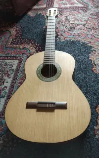 دوعدد گیتار