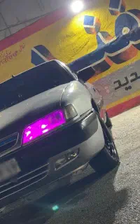 زانتیا ۸۷