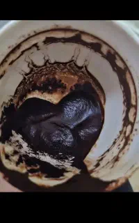سرکتاب رایگان