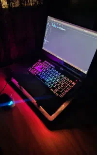 غول ایسوس Asus G513RM 32GB