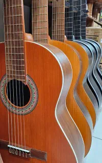 گیتار پارسی