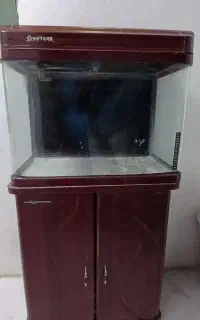 آکواریوم