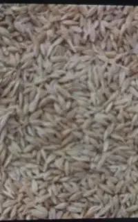 یک تن جو شش پر تمیز پر