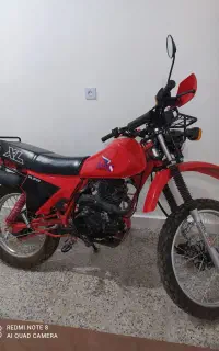XL250