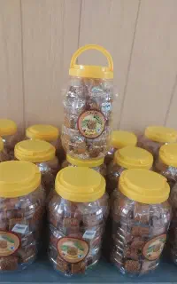 استخدام ویزیتور گنگان دیر