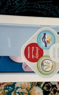 حمیدیة