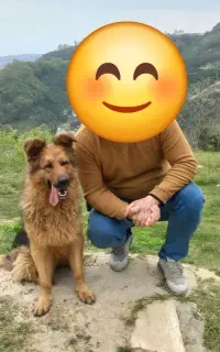 سگ ژرمن شپرد