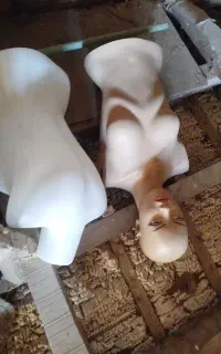 مانکن