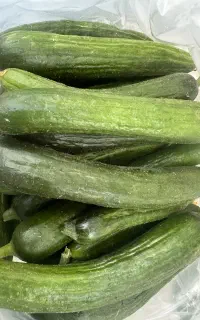 خیار