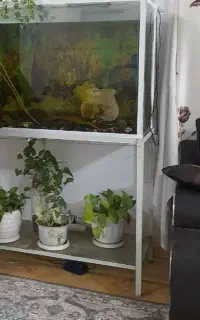 آکواریوم بزرگ
