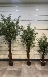 درختچه مصنوعی خاص بونسای،بنجامین،بامبو،زیتون