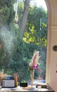 جویای کارم خانم هستم