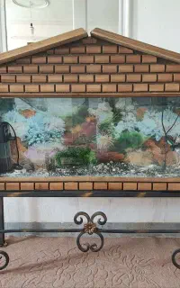 آکواریوم خانگی