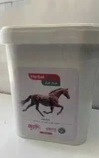 عضله ساز اسب