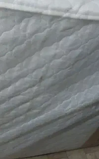 تشک
