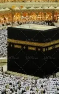 دو عدد فیش حج عمره دانه ای ۲۷