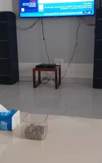 فروش باند