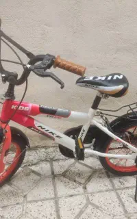 دوچرخه