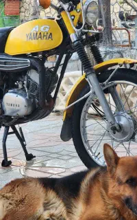 فروش یکدستگاه یاماهاAG175بسیارتمیز