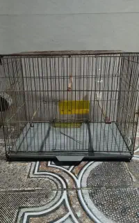 قفس بزرگ