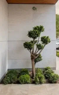 راهنمایی نظافت خونه