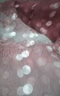 پرده