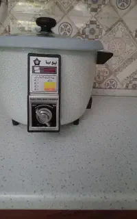 پلوپز برقی