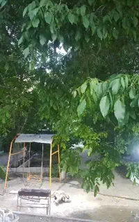 باغ ویلا زاینده رود