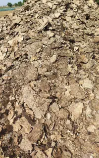 کود مرغی درجه یک ۵ تن موجوده