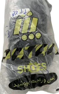 پوتین ایمنی رایمون پاتن