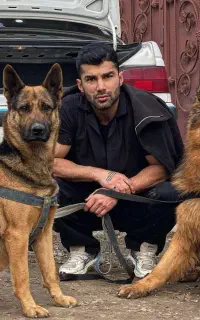 ژرمن ورک ماده برای جفتگیری میخوام