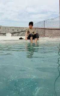 بچه ماهی کپورطلایی