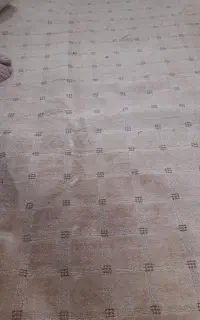 موکت ۱۲ متری پالاز