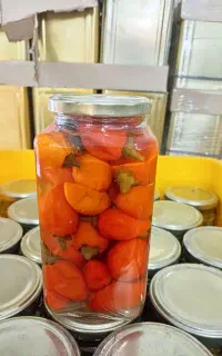 نیازمند همکاری