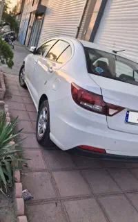 شاهین در حد خشک