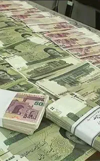 اگه میخوای پول در بیاری بیا تا راهش رایگان بهت بگم