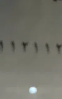 خط همراه اول ۲۱۱