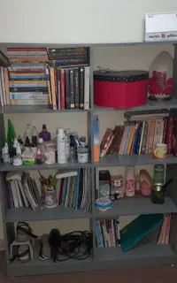 کتابخانه ایستاده