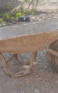 فرغون
