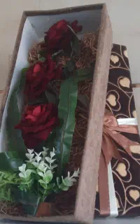 گول
