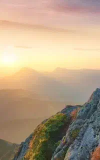 ترک اعتیاد صنعتی و سنتی به روش تیم مسیر سبز