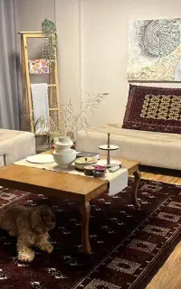 فروش 2 عدد پشتی دستبافت عتیقه