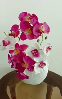 گل ارکیده و گلدان