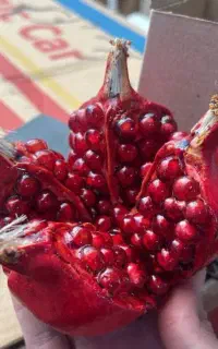 انار چهار قاچ دکوری شب یلدا ماکت نوستالژی